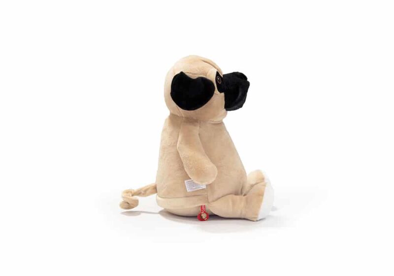 Mops von der Seite